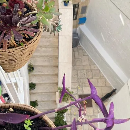 Bella Vista Citta Vecchia Διαμέρισμα *